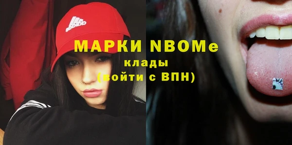 стафф Гусев