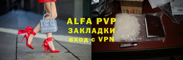 стафф Гусев