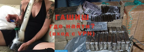 стафф Гусев