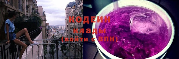 стафф Гусев
