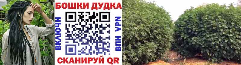 гидра tor Октябрьск Бошки марихуана OG Kush